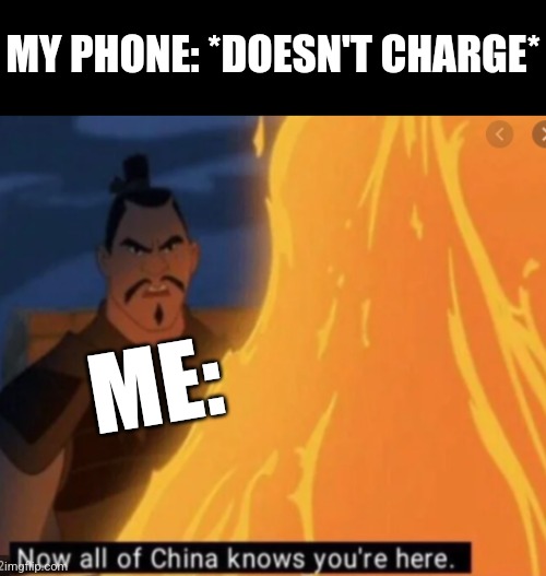 Ooh I jus hate it when my phone doesn't charge... but in all honesty I know I shouldn't lose my cool over that and I'm sorry :( | MY PHONE: *DOESN'T CHARGE*; ME: | image tagged in now all of china knows your here,memes,mulan,relatable memes,phones | made w/ Imgflip meme maker