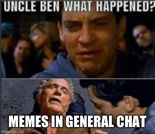 Uncle ben what happened | MEMES IN GENERAL CHAT | image tagged in uncle ben what happened | made w/ Imgflip meme maker