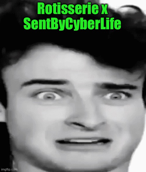 disgusted | Rotisserie x SentByCyberLife | image tagged in disgusted | made w/ Imgflip meme maker