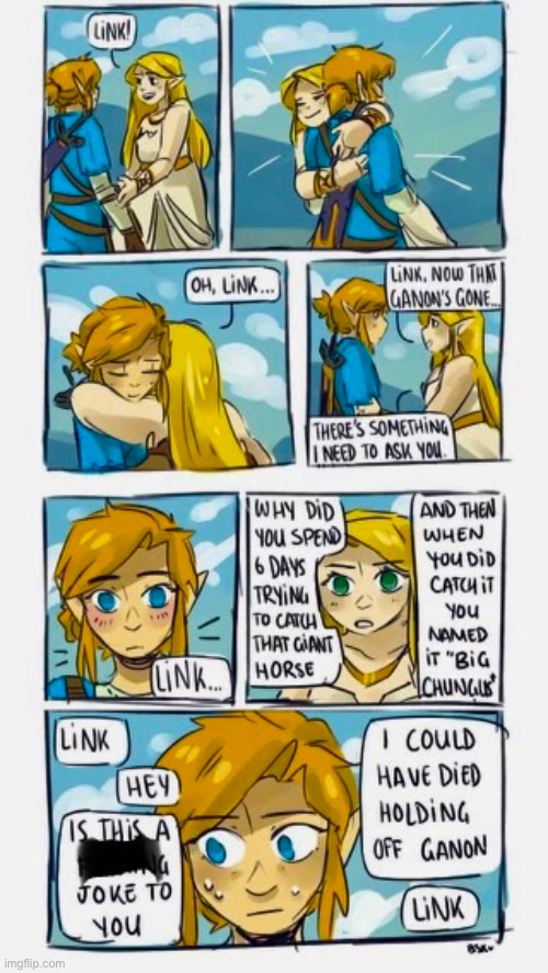 A | image tagged in link,the legend of zelda breath of the wild | made w/ Imgflip meme maker