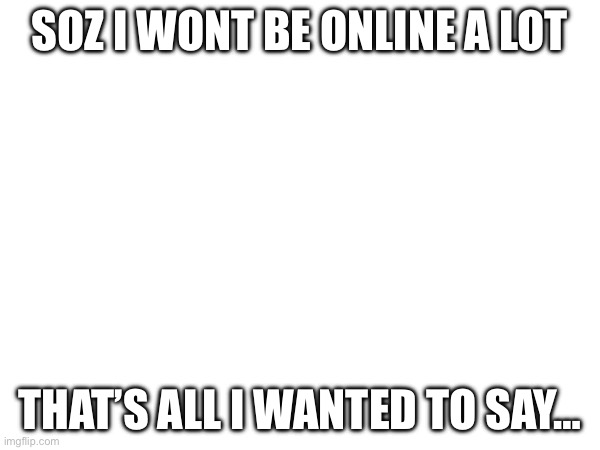 :( | SOZ I WONT BE ONLINE A LOT; THAT’S ALL I WANTED TO SAY… | image tagged in eh | made w/ Imgflip meme maker