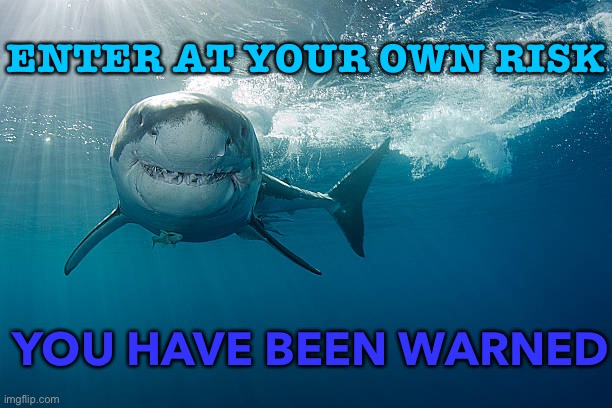 YOU HAVE BEEN WARNED | ENTER AT YOUR OWN RISK; YOU HAVE BEEN WARNED | image tagged in great white | made w/ Imgflip meme maker