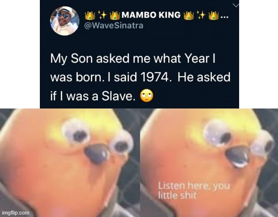 Listen here you little shit bird | image tagged in listen here you little shit bird,son,born,slave | made w/ Imgflip meme maker
