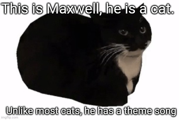 There is no meme, only Maxwell | This is Maxwell, he is a cat. Unlike most cats, he has a theme song | image tagged in maxwell the cat,memes,maxwell,funny memes | made w/ Imgflip meme maker