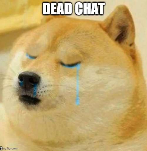sad doge | DEAD CHAT | image tagged in sad doge | made w/ Imgflip meme maker