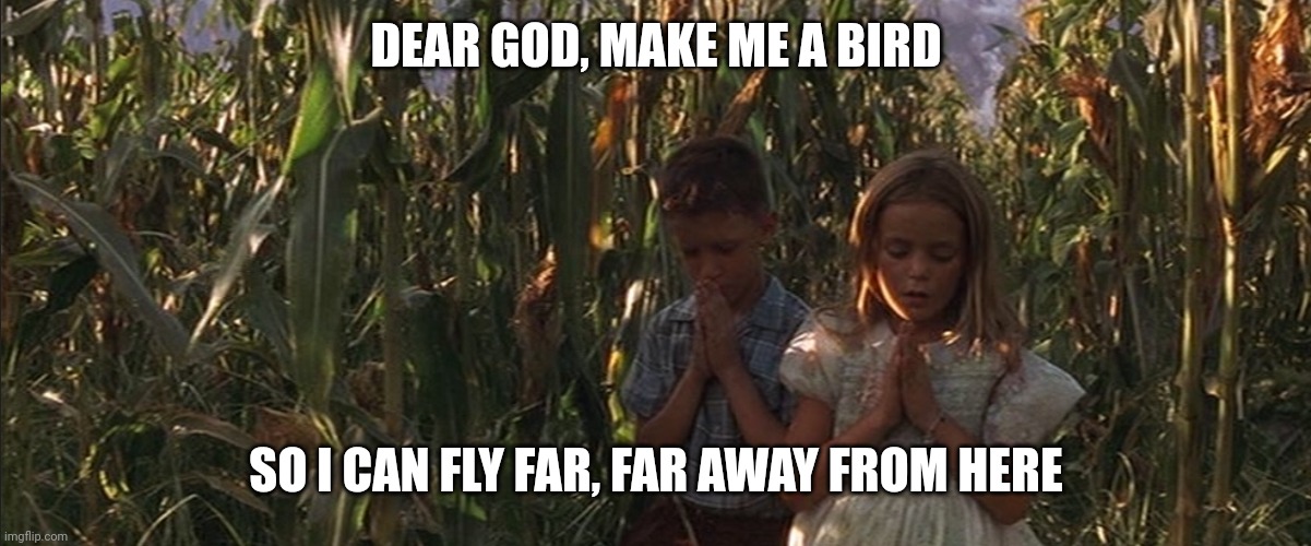 DEAR GOD, MAKE ME A BIRD SO I CAN FLY FAR, FAR AWAY FROM HERE | made w/ Imgflip meme maker