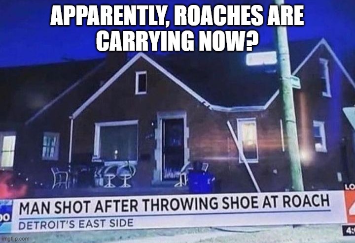 Well, it is Detroit... | APPARENTLY, ROACHES ARE
CARRYING NOW? | image tagged in cockroach,shooting,detroit | made w/ Imgflip meme maker