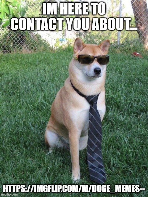 go join it its cool and wholesome | IM HERE TO CONTACT YOU ABOUT... HTTPS://IMGFLIP.COM/M/DOGE_MEMES-- | image tagged in business doge | made w/ Imgflip meme maker