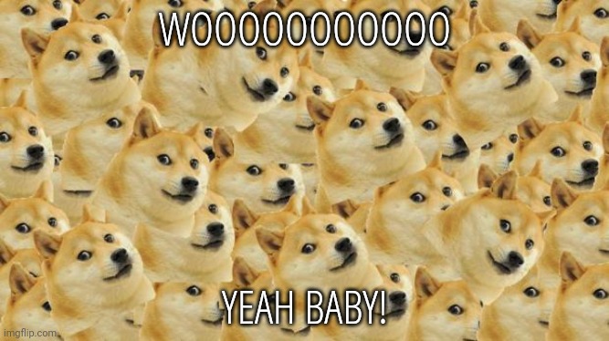 Multi Doge Meme | WOOOOOOOOOOO YEAH BABY! | image tagged in memes,multi doge | made w/ Imgflip meme maker