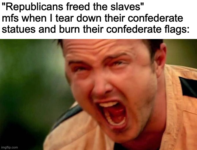 Aaron Paul Screaming | "Republicans freed the slaves" mfs when I tear down their confederate statues and burn their confederate flags: | image tagged in aaron paul screaming | made w/ Imgflip meme maker