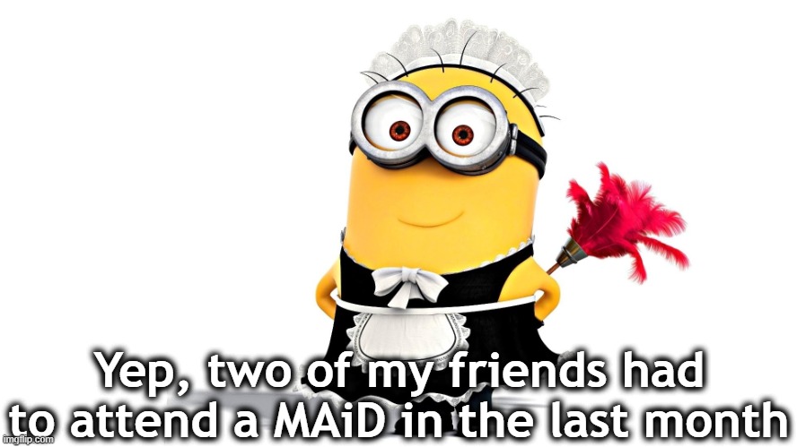 Minion Maid | Yep, two of my friends had to attend a MAiD in the last month | image tagged in minion maid | made w/ Imgflip meme maker