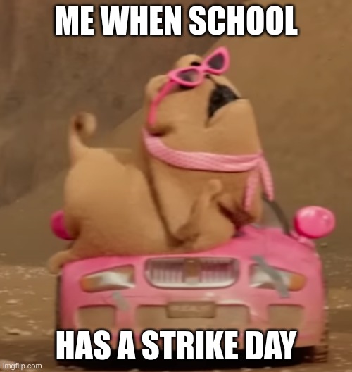 Fashion dog | ME WHEN SCHOOL; HAS A STRIKE DAY | image tagged in fashion dog | made w/ Imgflip meme maker