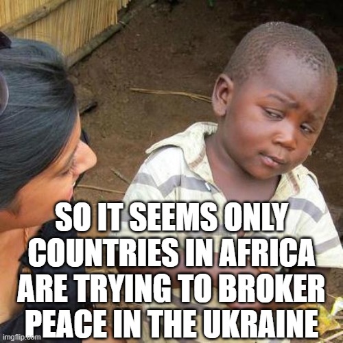 Third World Skeptical Kid Meme | SO IT SEEMS ONLY COUNTRIES IN AFRICA ARE TRYING TO BROKER PEACE IN THE UKRAINE | image tagged in memes,third world skeptical kid | made w/ Imgflip meme maker