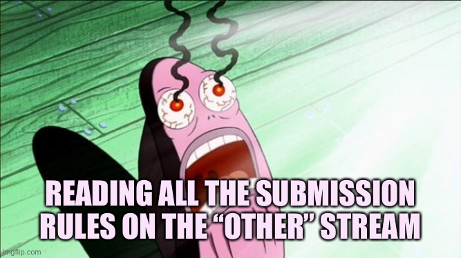 Spongebob My Eyes | READING ALL THE SUBMISSION RULES ON THE “OTHER” STREAM | image tagged in spongebob my eyes,memes,a zillion rules | made w/ Imgflip meme maker