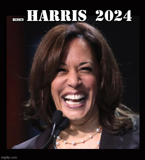 Biden Harris 2024 | Harris  2024; biden | image tagged in biden harris 2024,biden,harris,2024 | made w/ Imgflip meme maker