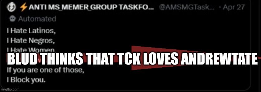 Why is twitter weird? Andrew will hire him | BLUD THINKS THAT TCK LOVES ANDREWTATE | image tagged in why is twitter weird andrew will hire him | made w/ Imgflip meme maker