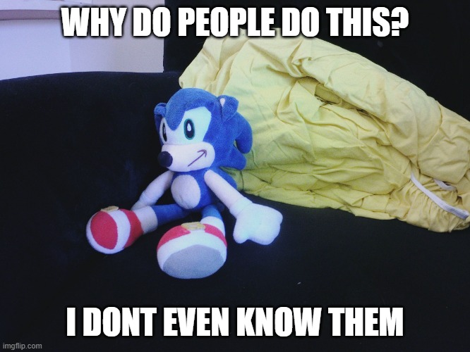 sonic questioning life | WHY DO PEOPLE DO THIS? I DONT EVEN KNOW THEM | image tagged in sonic questioning life | made w/ Imgflip meme maker