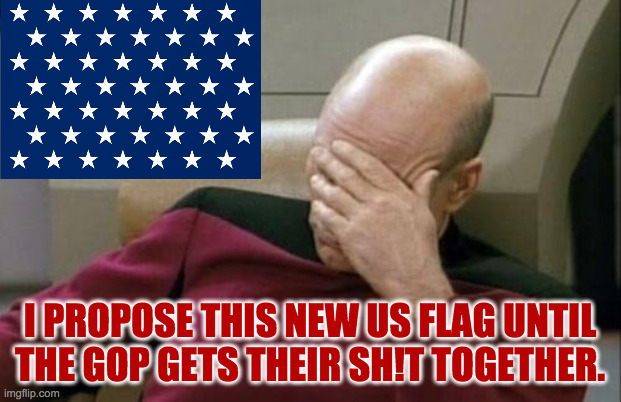 Could be a while. | I PROPOSE THIS NEW US FLAG UNTIL
THE GOP GETS THEIR SH!T TOGETHER. | image tagged in memes,captain picard facepalm,flag | made w/ Imgflip meme maker