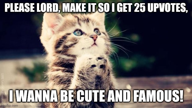 Praying cat | PLEASE LORD, MAKE IT SO I GET 25 UPVOTES, I WANNA BE CUTE AND FAMOUS! | image tagged in praying cat,cat,cute cat | made w/ Imgflip meme maker