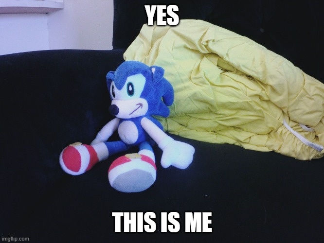 sonic questioning life | YES THIS IS ME | image tagged in sonic questioning life | made w/ Imgflip meme maker