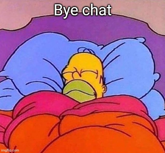 Homer Simpson sleeping peacefully | Bye chat | image tagged in homer simpson sleeping peacefully | made w/ Imgflip meme maker