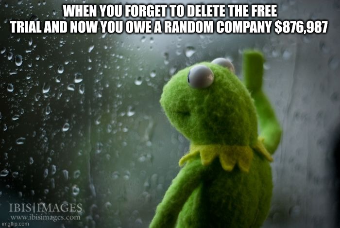 Kermy 2 | WHEN YOU FORGET TO DELETE THE FREE TRIAL AND NOW YOU OWE A RANDOM COMPANY $876,987 | image tagged in kermit window,stay blobby | made w/ Imgflip meme maker