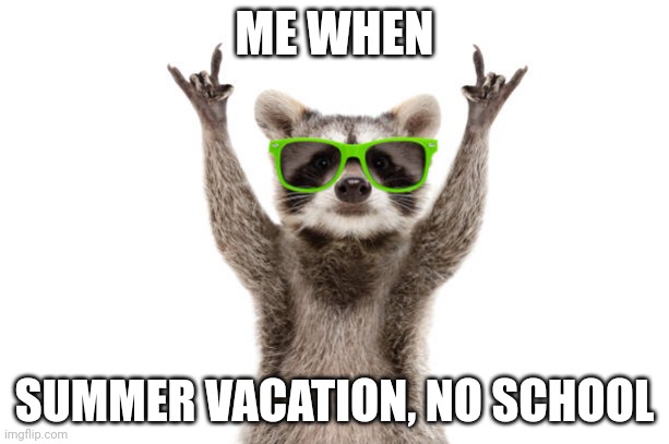 Hopefully this isn't cringe.. | ME WHEN; SUMMER VACATION, NO SCHOOL | image tagged in rock on raccoon,school memes | made w/ Imgflip meme maker