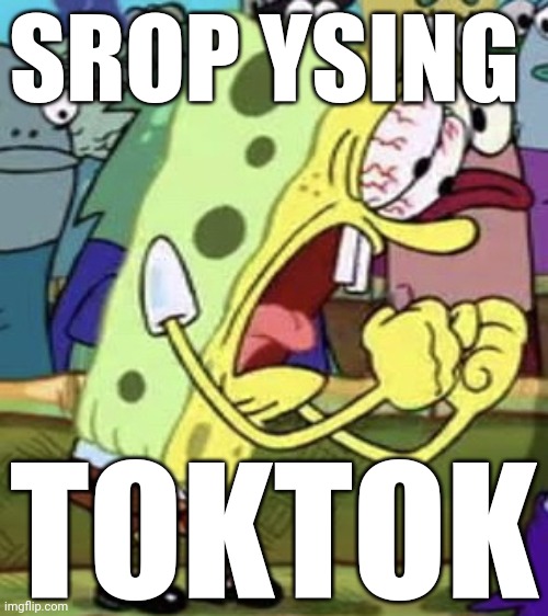 yelling spongebob | SROP YSING TOKTOK | image tagged in yelling spongebob | made w/ Imgflip meme maker