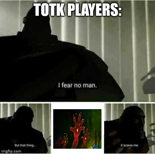 I fear no man | TOTK PLAYERS: | image tagged in i fear no man | made w/ Imgflip meme maker