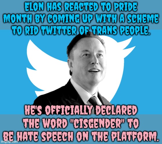 Watch what you say on Twitter. | Elon has reacted to Pride Month by coming up with a scheme to rid Twitter of trans people. He's officially declared the word "cisgender" to be hate speech on the platform. | image tagged in elon musk,transphobic,social media | made w/ Imgflip meme maker
