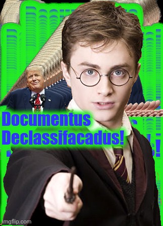 Documentus  Declassifacadus! | made w/ Imgflip meme maker