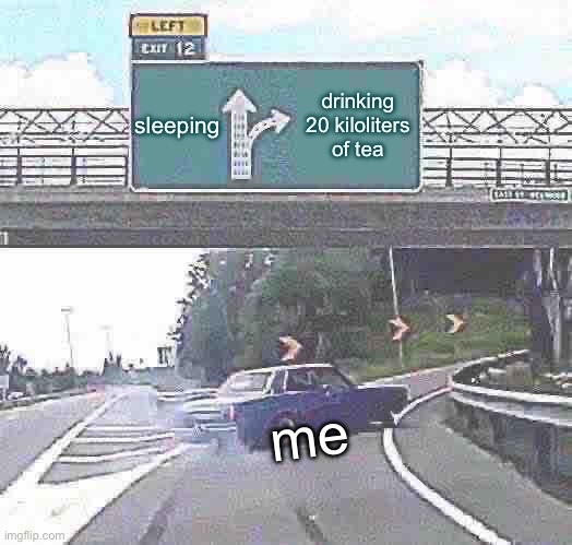 Left Exit 12 Off Ramp Meme | sleeping; drinking 20 kiloliters of tea; me | image tagged in memes,left exit 12 off ramp,relatable | made w/ Imgflip meme maker