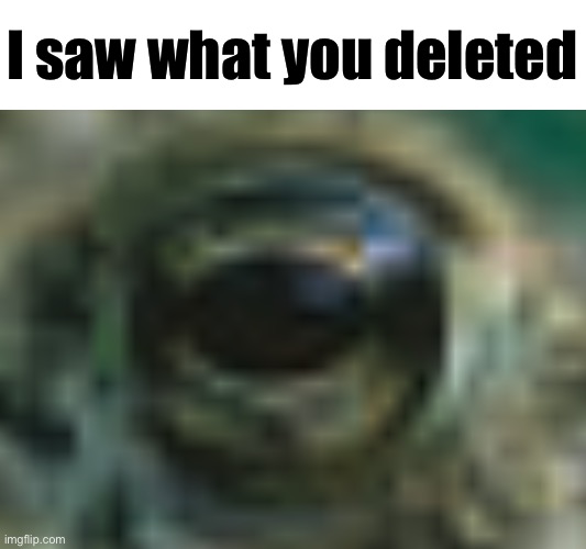 High Quality I saw what you deleted Blank Meme Template