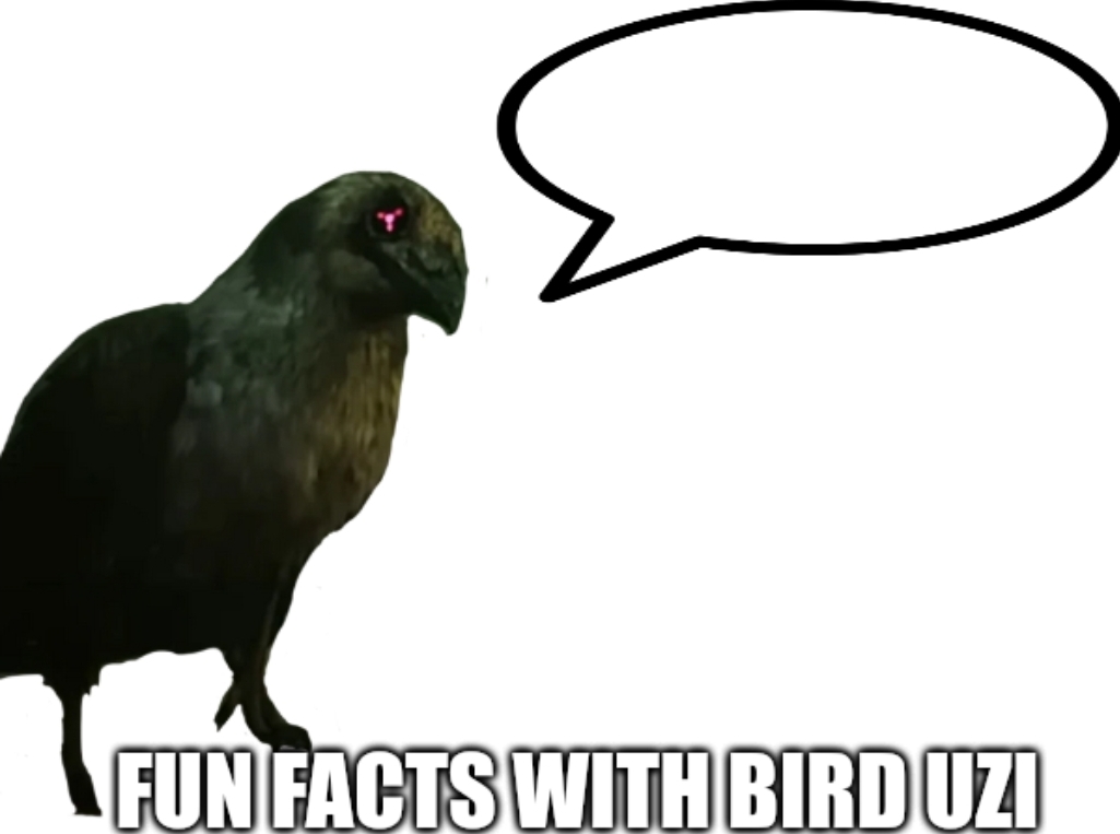 Fun Facts with Bird Uzi Blank Meme Template