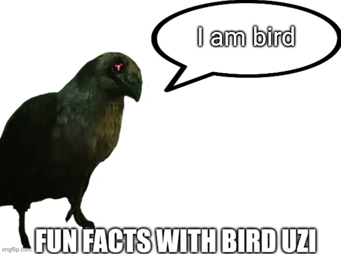 Fun Facts with Bird Uzi | I am bird | image tagged in fun facts with bird uzi | made w/ Imgflip meme maker