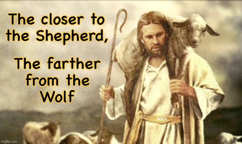 The closer to
the Shepherd, MRA; The farther
from the
Wolf | image tagged in memes,shepherd | made w/ Imgflip meme maker