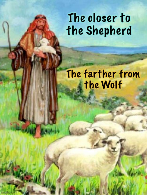 The closer to
the Shepherd; The farther from
the Wolf | image tagged in memes,herd | made w/ Imgflip meme maker