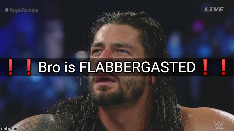 ROMAN REIGNS | ❗❗Bro is FLABBERGASTED❗❗ | image tagged in roman reigns | made w/ Imgflip meme maker