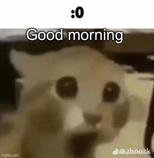 :0 | Good morning | made w/ Imgflip meme maker