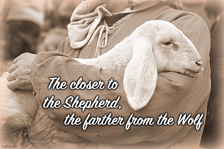 The closer to
the Shepherd, the farther from the Wolf | image tagged in memes,lord jesus | made w/ Imgflip meme maker