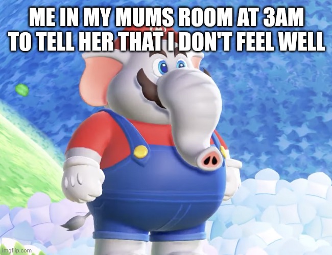 Oh no | ME IN MY MUMS ROOM AT 3AM TO TELL HER THAT I DON'T FEEL WELL | image tagged in mario,memes,relatable | made w/ Imgflip meme maker