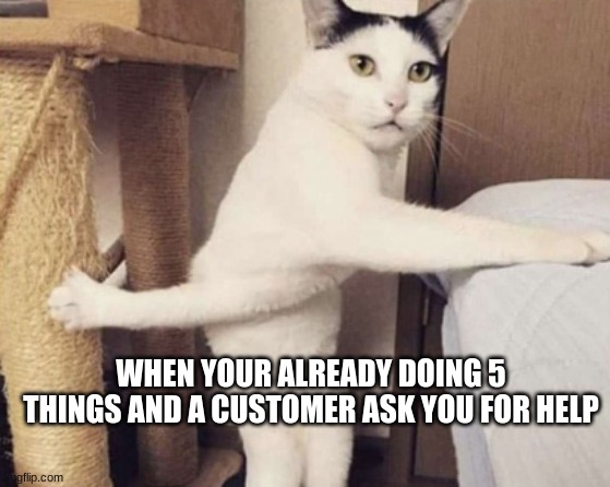 cats | WHEN YOUR ALREADY DOING 5 THINGS AND A CUSTOMER ASK YOU FOR HELP | image tagged in funny | made w/ Imgflip meme maker