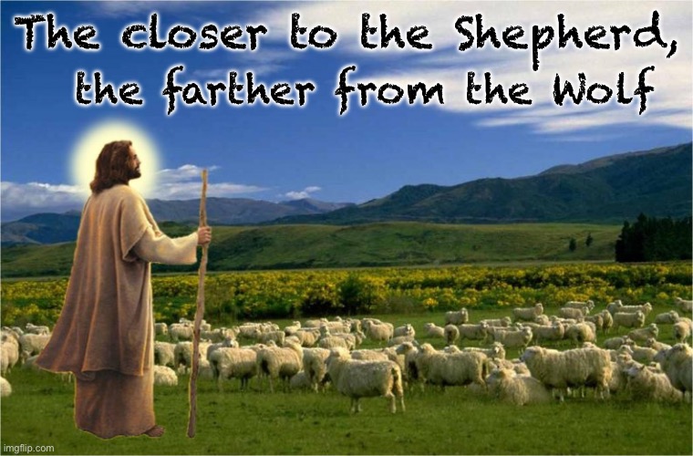 Another version | The closer to the Shepherd, the farther from the Wolf | image tagged in memes,flock | made w/ Imgflip meme maker