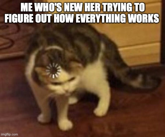 Loading cat | ME WHO'S NEW HER TRYING TO FIGURE OUT HOW EVERYTHING WORKS | image tagged in loading cat | made w/ Imgflip meme maker
