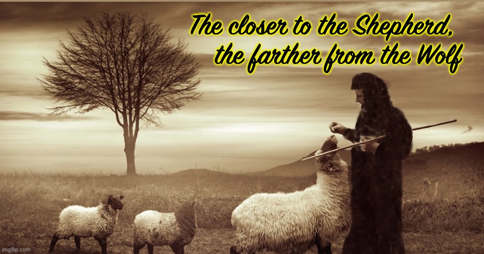 The closer to the Shepherd, the farther from the Wolf | image tagged in memes,jesus | made w/ Imgflip meme maker