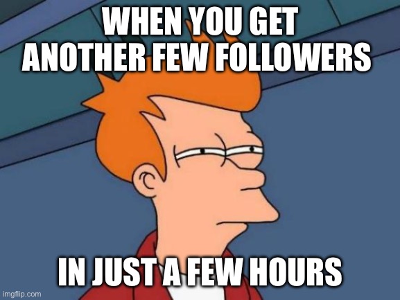 Suspicious | WHEN YOU GET ANOTHER FEW FOLLOWERS; IN JUST A FEW HOURS | image tagged in memes,futurama fry | made w/ Imgflip meme maker