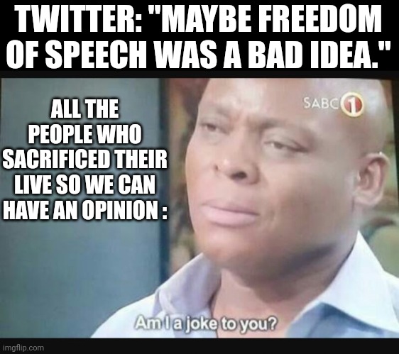 Deal with it | TWITTER: "MAYBE FREEDOM OF SPEECH WAS A BAD IDEA."; ALL THE PEOPLE WHO SACRIFICED THEIR LIVE SO WE CAN HAVE AN OPINION : | image tagged in am i a joke to you,opinions,twitter,freedom of speech,politics,memes | made w/ Imgflip meme maker