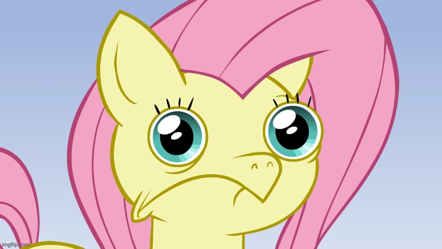 Uncomfortable Fluttershy | image tagged in uncomfortable fluttershy | made w/ Imgflip meme maker
