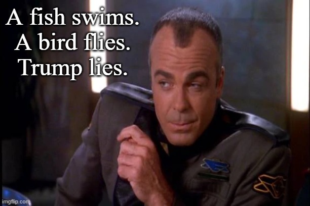 Michael Garibaldi | A fish swims.
A bird flies.
Trump lies. | image tagged in michael garibaldi | made w/ Imgflip meme maker