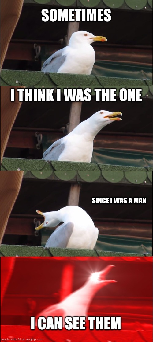 Inhaling Seagull | SOMETIMES; I THINK I WAS THE ONE; SINCE I WAS A MAN; I CAN SEE THEM | image tagged in memes,inhaling seagull | made w/ Imgflip meme maker